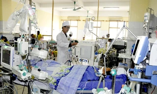 Ảnh minh họa: Internet