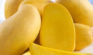 Ảnh minh họa: Internet