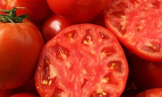 Ảnh minh họa: Internet