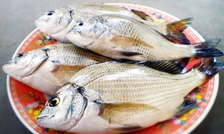 Ảnh minh họa: Internet