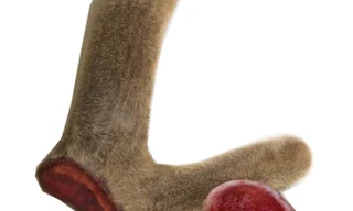 Ảnh minh họa: Internet