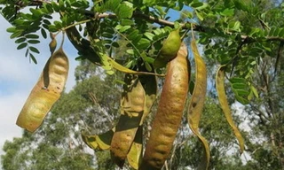 Ảnh minh họa: Internet