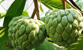 Ảnh minh họa: Internet