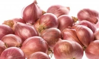 Ảnh minh họa: Internet