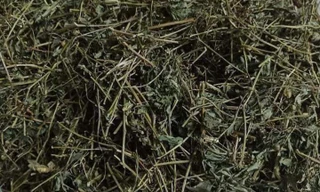 Giảo cổ lam làm giảm sức mạnh đàn ông? 