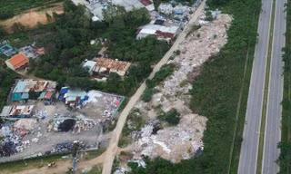 Bãi xà bần 'khủng' tự phát ở Đà Nẵng