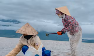 Nhọc nhằn mưu sinh trên đầm Lập An ngày sát Tết