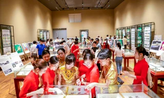 Bạn trẻ thích thú khám phá thế giới côn trùng tại Bảo tàng Đà Nẵng