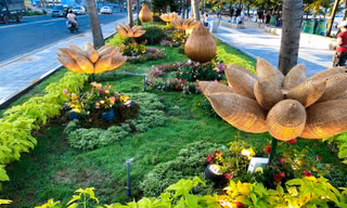 Đường hoa dài 2 cây số ven biển Đà Nẵng