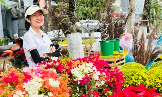 Phố phường Đà Nẵng rực rỡ sắc hoa đón Tết