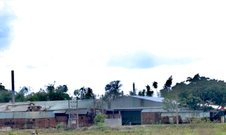 Hàng trăm hộ dân Đà Nẵng bức xúc vì nhà máy thức ăn gia súc ở Quảng Nam gây ô nhiễm