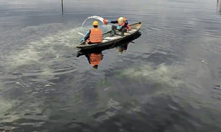 Lấy mẫu nước để xác định tình trạng cá chết hàng loạt tại Đà Nẵng 