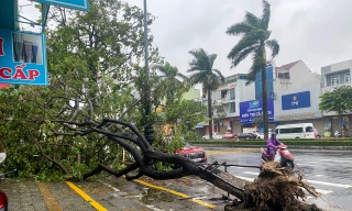 Bão số 6 suy yếu thành áp thấp nhiệt đới, mưa lớn ở nhiều nơi miền Trung