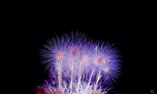 Sông Hàn lộng lẫy đêm pháo hoa 'tình yêu diệu kỳ'