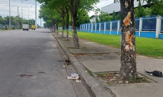 Xe máy đâm vào gốc cây, 3 thiếu nữ tử vong