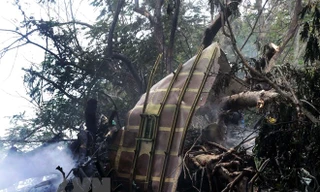 Hiện trường vụ rơi máy bay. (Nguồn: TTXVN)