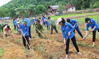BẢN TIN TÌNH NGUYỆN: Hàng trăm thanh niên lao động giúp bản nghèo