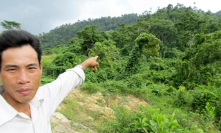 “Tôi ký chủ trương không có nghĩa cho họ phá rừng”