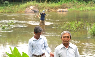 'Ly Ly' vọng một nhịp cầu