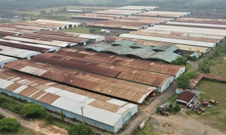 Lãng phí dự án nuôi bò nghìn tỷ phơi sương phơi nắng 