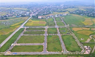 Khu dân cư trăm tỷ vị trí đắc địa ở Hà Tĩnh thành nơi chăn bò, phơi lúa