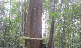 Tận thấy các loài động thực vật tại Khu bảo tồn thiên nhiên Kẻ Gỗ