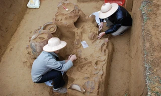 Không được bảo vệ, Di tích Quốc gia thành bãi hoang chăn bò