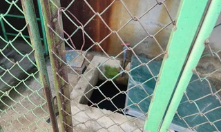 Bé trai 5 tuổi tử vong dưới bể nước trường mầm non