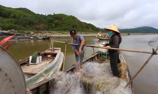 Ngư dân Hà Tĩnh vươn khơi thu 'lộc biển' sau đợt mưa lớn