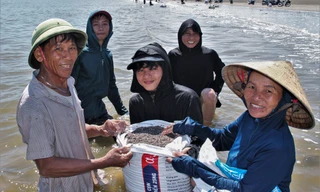 Người dân đổ xô ra biển vớt 'lộc Trời', ngày kiếm tiền triệu