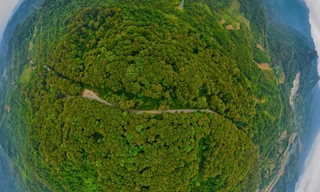 Ngút ngàn cánh rừng nguyên sinh trăm năm tuổi độc nhất xứ Nghệ