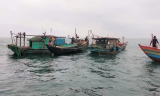 Tìm kiếm đôi vợ chồng mất tích khi ra khơi đánh cá 