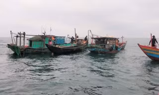 Tìm kiếm đôi vợ chồng mất tích khi ra khơi đánh cá 