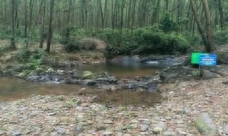 Hai học sinh ở Hà Tĩnh đuối nước khi tắm suối 