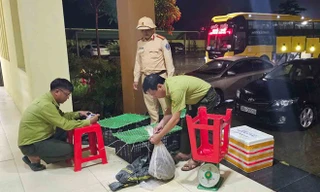 Xe khách vận chuyển động vật hoang dã trái phép