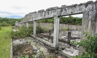 Trung tâm sản xuất giống chăn nuôi 20 tỷ đồng bỏ hoang thành nơi chăn bò
