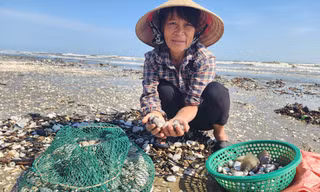 Người dân Hà Tĩnh đổ xô ngâm nước vớt 'lộc biển'