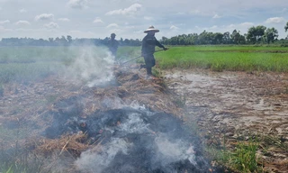 Nhà thầu thi công cao tốc để rò rỉ dầu gây chết lúa: Đền bù cho người dân