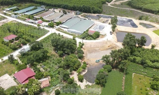 Hà Tĩnh yêu cầu xử lý dứt điểm vi phạm môi trường từ trang trại lợn 