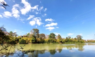 Thuần hóa 'thủy quái' trên dòng sông chảy ngược 