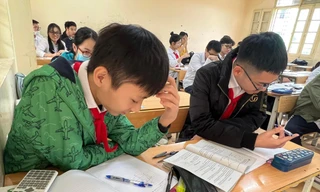 Chương trình tích hợp: Đổi mới có thành công?