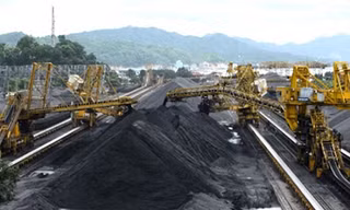 Lo thiếu than cho sản xuất điện