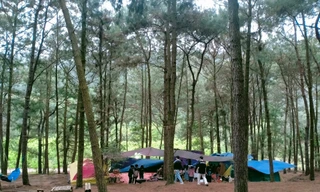 Cắm trại dã ngoại: Niềm vui qua đi, nỗi phiền ở lại 