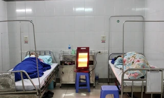 Rét đậm, số bệnh nhân nhập viện tăng mạnh