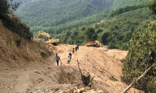 Thi công đường Hồ Chí Minh: San ủi đất xâm phạm rừng tự nhiên 
