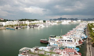 Sau gần 2 năm bị ảnh hưởng nặng nề bởi dịch COVID-19, hàng loạt chủ tàu đang đứng trước bờ vực phá sản 