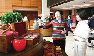 Trà Hải Đăng - Văn hóa bền vững 