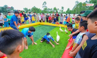 Cảnh giác với 'mùa trại hè' nở rộ