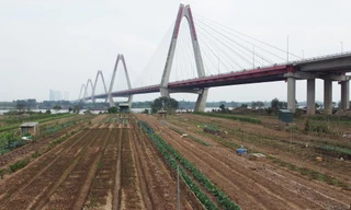 'Rửa sạch' sông Tô Lịch trong 9 tháng