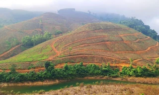 Hơn 1,5 vạn ha đất rừng, đất lâm nghiệp bị xâm lấn trái phép